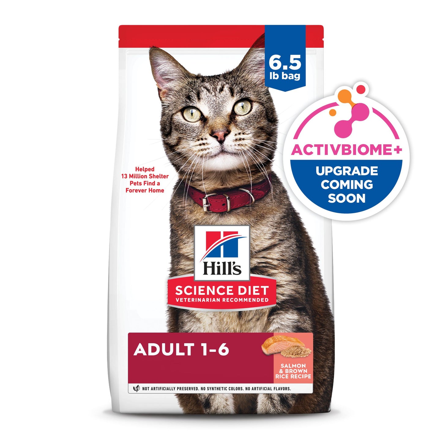 Adult Cat Food