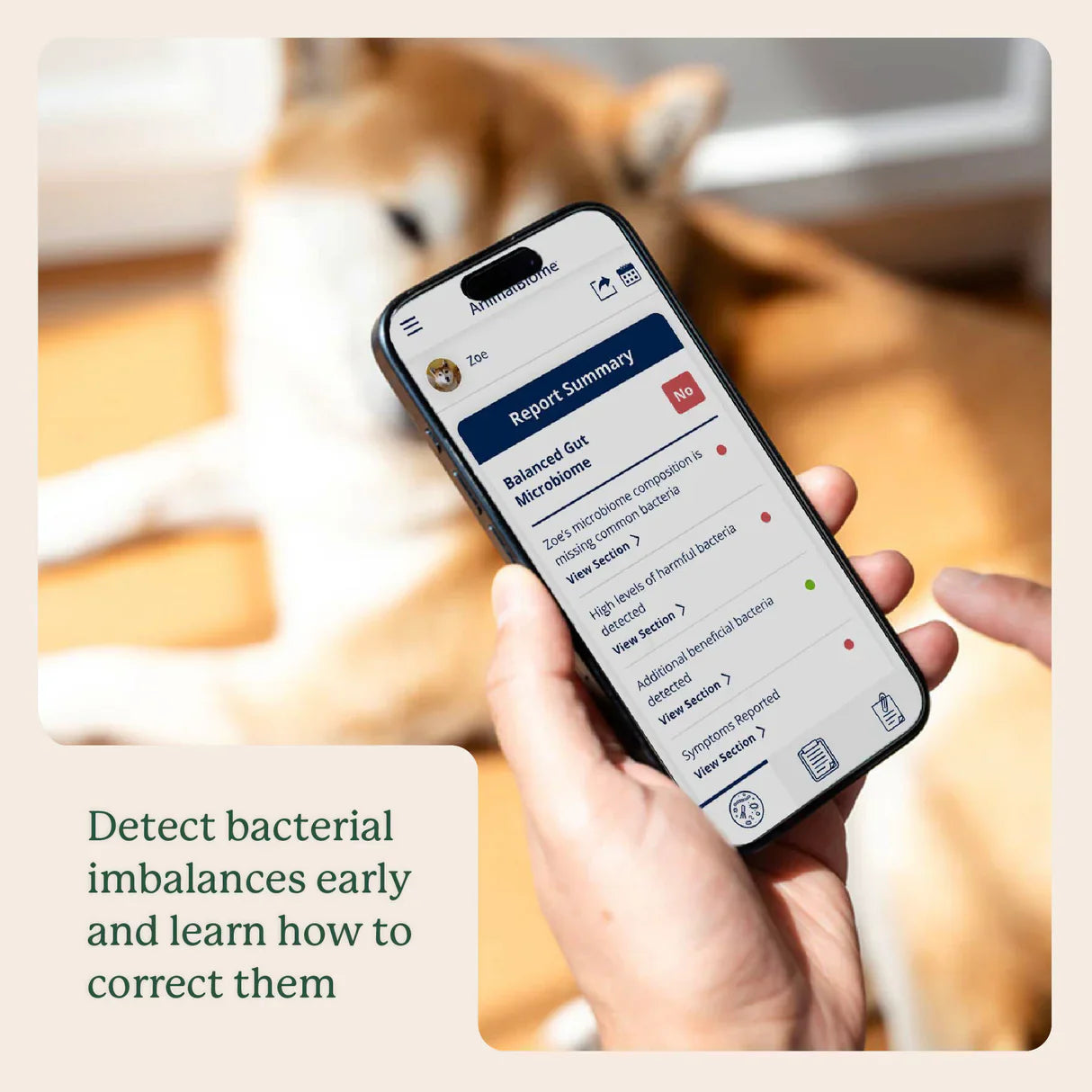 Detect Gut Health imbalances