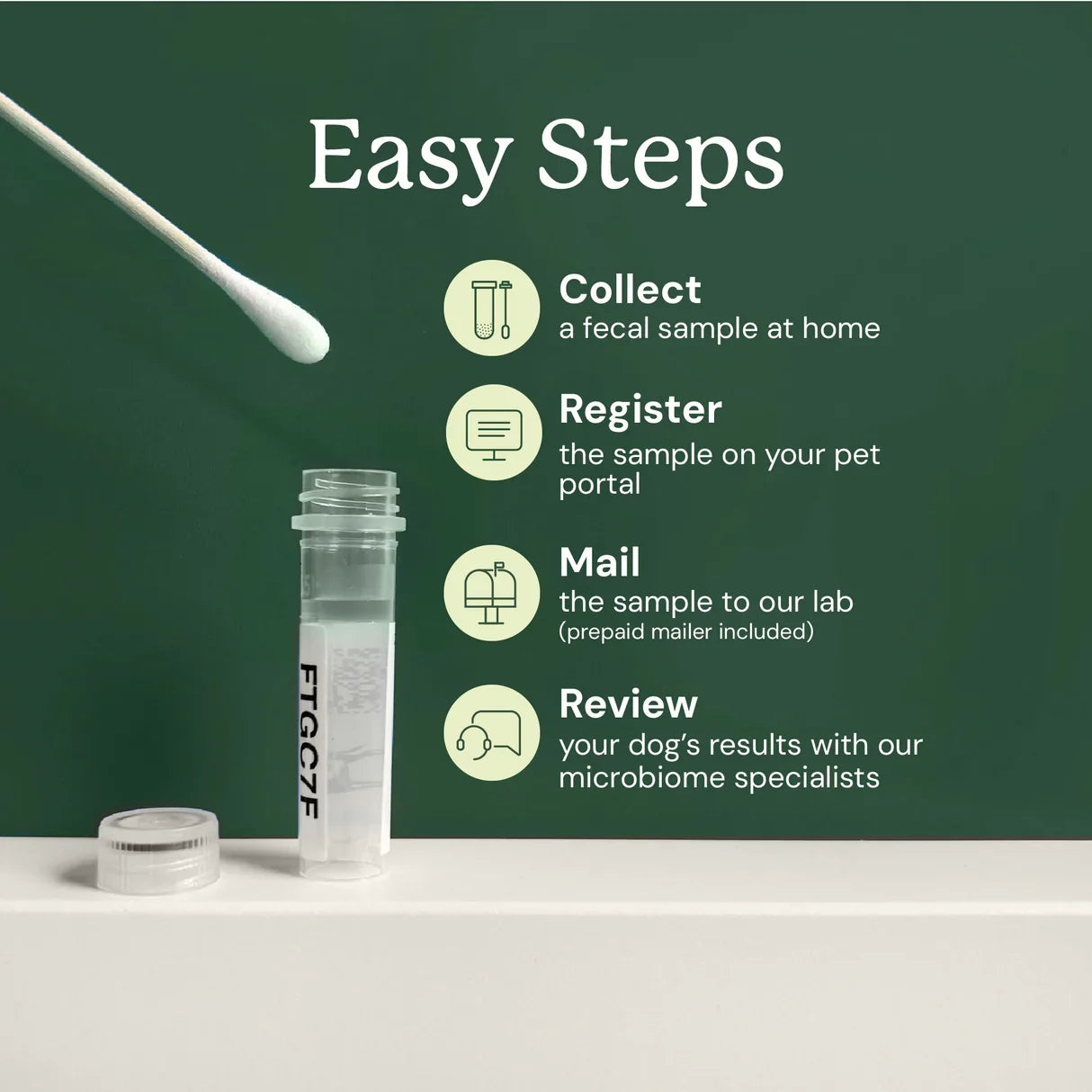 Gut Health collection steps