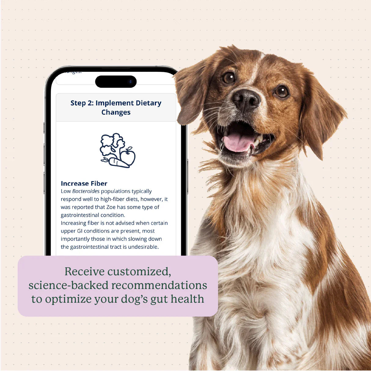 Gut Health Recommendations