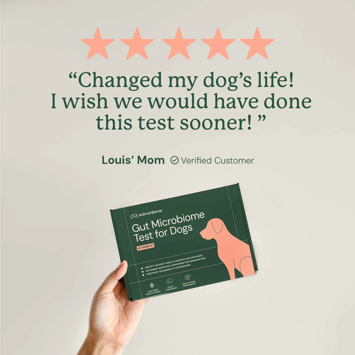 Gut health changed my dogs life