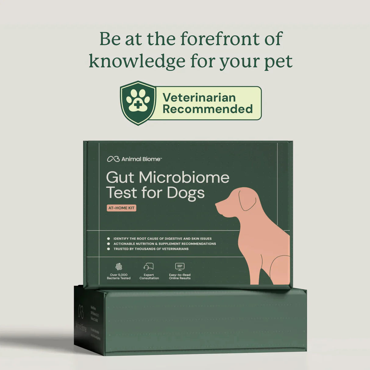 Be at the forefront of Gut Health knowledge