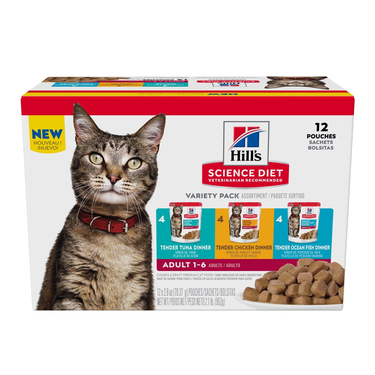 Regular cat focus (Indoor dry + wet varieties) 2.0 Bundle